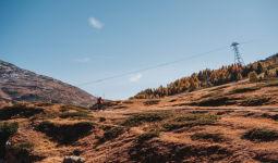 邹宜宏、邹宜言首发单曲《<strong>荆楚少年</strong>》献礼故土(邹宜均出家最新动态)